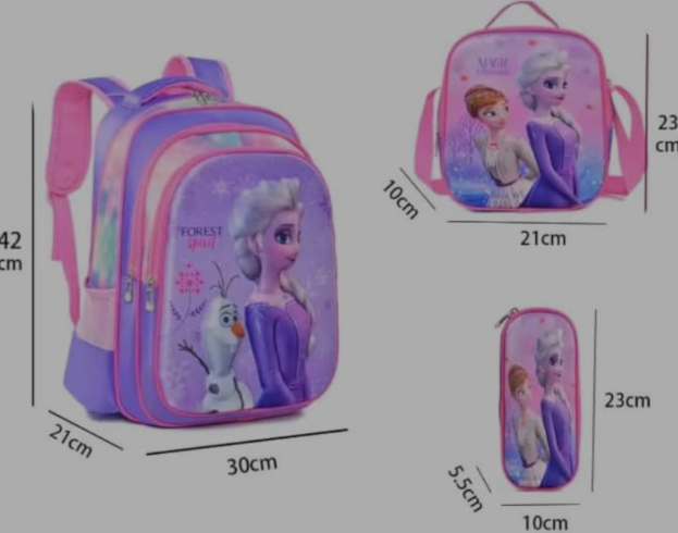 3 piece in 1 school backpack