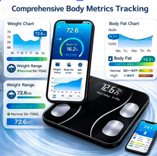 Digital Body Weight Scale